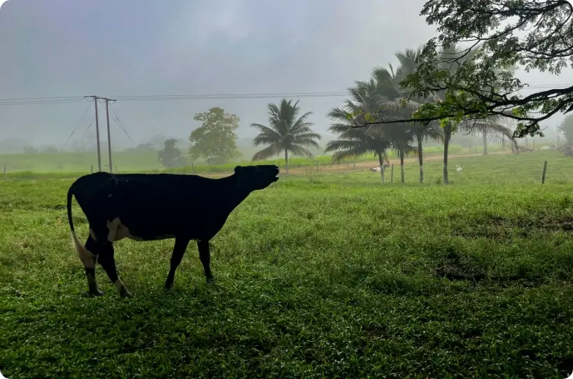 Quesos La Florida® - Experiencia