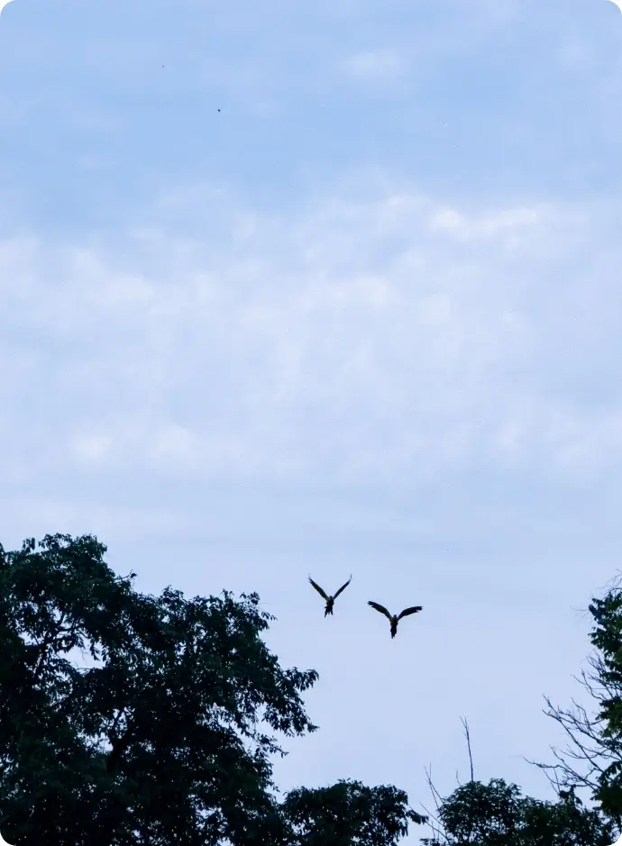 Quesos La Florida® - Historia 1