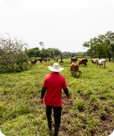 Quesos La Florida® - Historia Hato