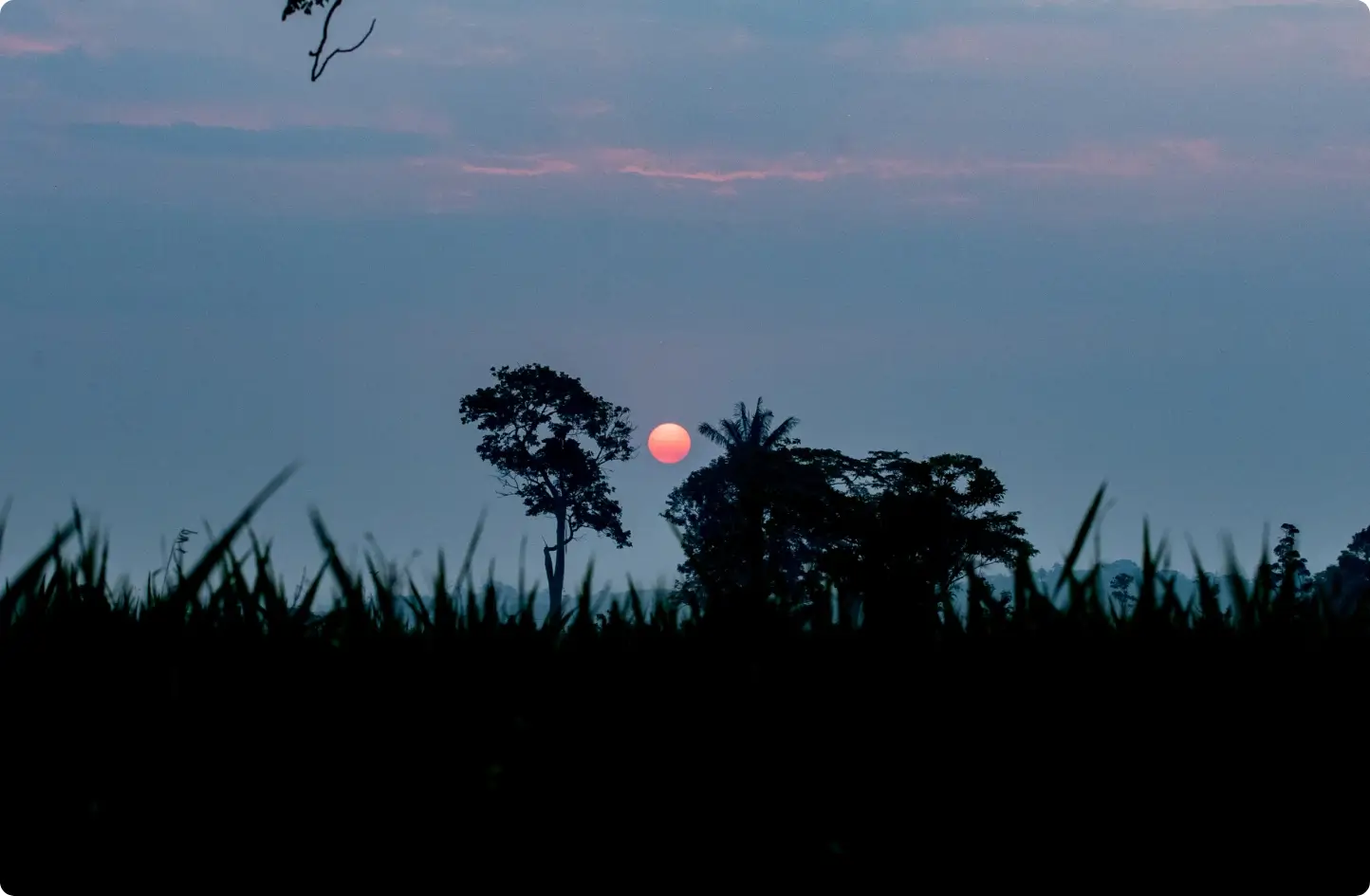 Carrusel 3 - Quesos La Florida