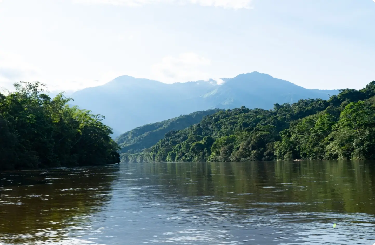 Carrusel 4 - Quesos La Florida